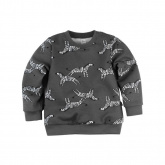 Толстовка Bossa Nova 554Б-472с