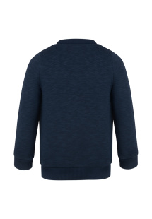 Толстовка Oldos Тео