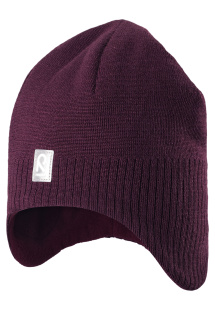 Шапка Reima 528415-4900