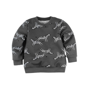 Толстовка Bossa Nova 554Б-472с