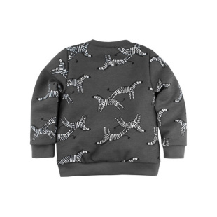 Толстовка Bossa Nova 554Б-472с