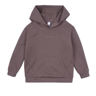 Худи Bossa Nova 223К-461-К