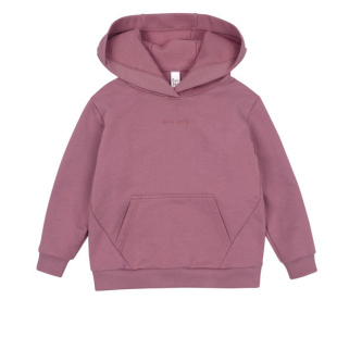 Худи Bossa Nova 220К-461-С