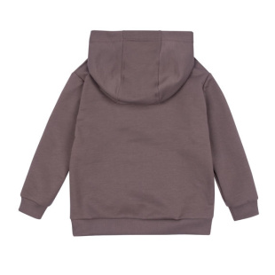 Худи Bossa Nova 223К-461-К